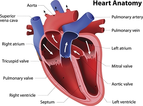 Conditions and Treatments