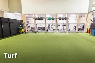 Turf