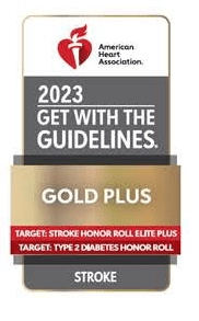 2023 Gold Plus Stroke Guidelines