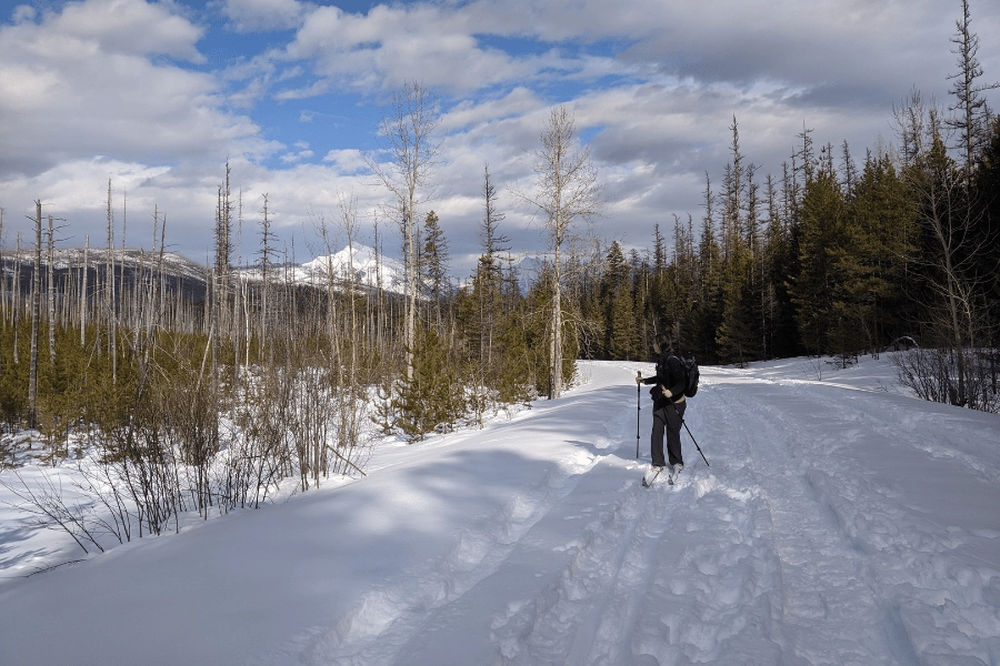 For winter well-being: stay active!