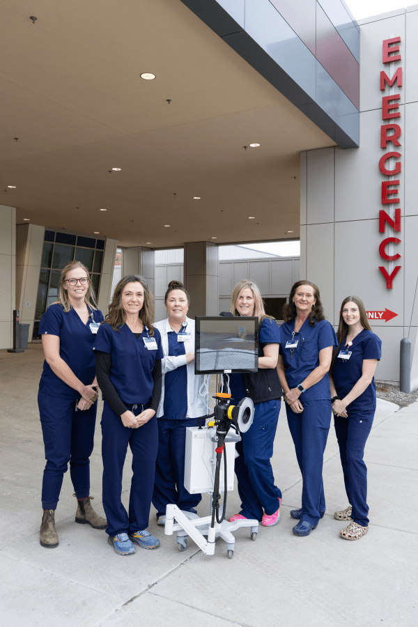 SANE Nurses - Emergency Department