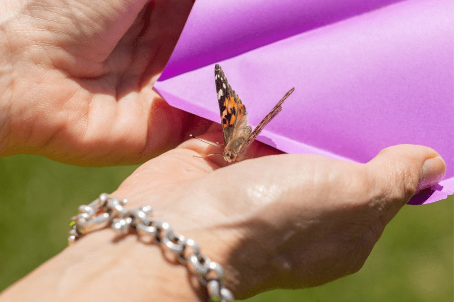 Celebrating Hope: Logan Health’s Inaugural Cancer Survivors Day
