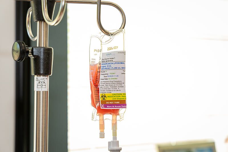 Logan Health oncology team