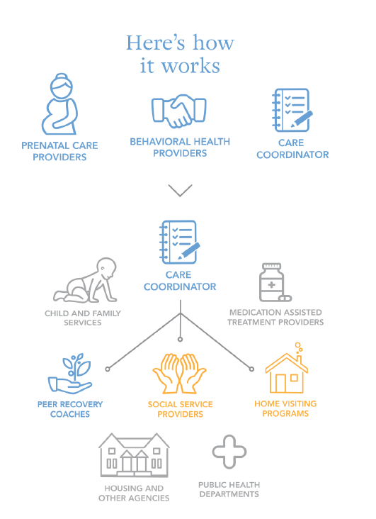 Meadowlark Initiative Process