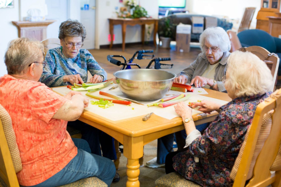 Chester Assisted Living - patient activities