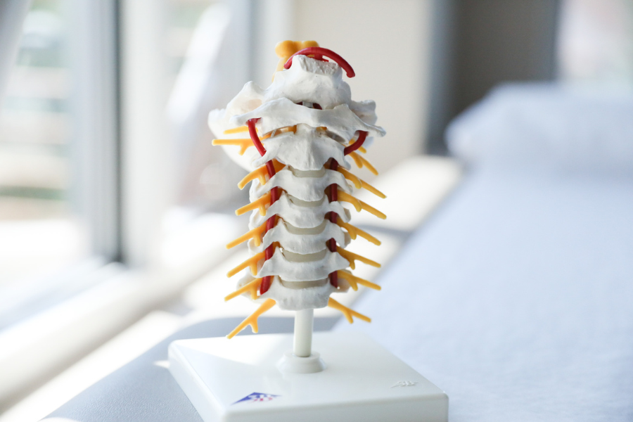 Neuro - spine figure
