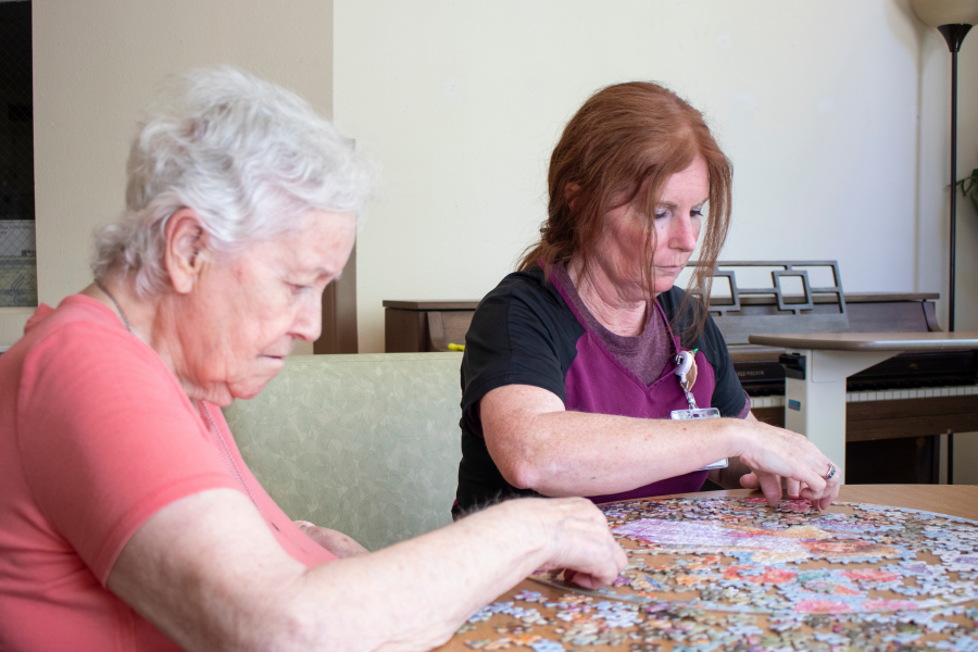 Shelby Care Center - puzzle with patient