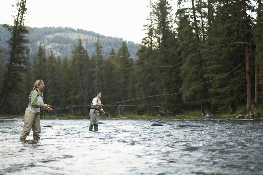 Live here_fly fishing