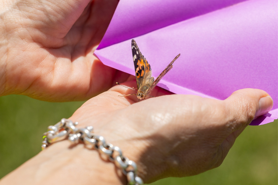 Celebrating Hope: Logan Health’s Inaugural Cancer Survivors Day